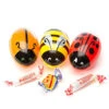 Bee International Critter Plastic Easter Eggs With Candy: 12-Piece Pack 2 Bee International Critter Plastic Easter Eggs With Candy: 12-Piece Pack -Candy Store bee international critter plastic easter eggs with candy 12 piece pack candy warehouse 1