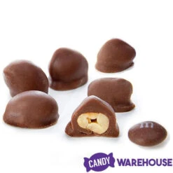 Brach's Double Dippers Milk Chocolate Covered Peanuts: 12-Ounce Bag 9 Brach's Double Dippers Milk Chocolate Covered Peanuts: 12-Ounce Bag -Candy Store brach s double dippers milk chocolate covered peanuts 12 ounce bag candy warehouse 3 6c5445c4 b288 498f b1a5 4083f6aed8f9