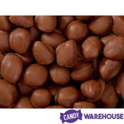 Brach's Double Dippers Milk Chocolate Covered Peanuts: 12-Ounce Bag 10 Brach's Double Dippers Milk Chocolate Covered Peanuts: 12-Ounce Bag -Candy Store brach s double dippers milk chocolate covered peanuts 12 ounce bag candy warehouse 4 7a6bd210 22d2 46b8 86dc 4fa28e85147b