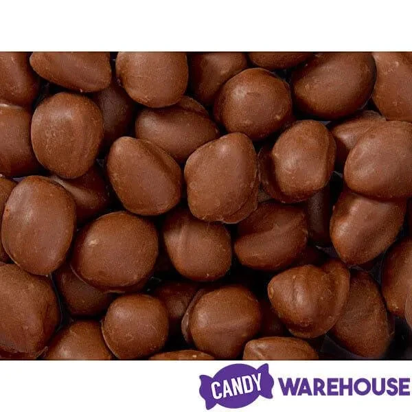 Brach's Double Dippers Milk Chocolate Covered Peanuts: 12-Ounce Bag 6 Brach's Double Dippers Milk Chocolate Covered Peanuts: 12-Ounce Bag - Image 4
