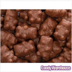 Chocolate Covered Cinnamon Bears: 14-Ounce Bag -Candy Store chocolate covered cinnamon bears 14 ounce bag candy warehouse 3