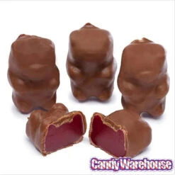 Chocolate Covered Cinnamon Bears: 14-Ounce Bag -Candy Store chocolate covered cinnamon bears 14 ounce bag candy warehouse 4