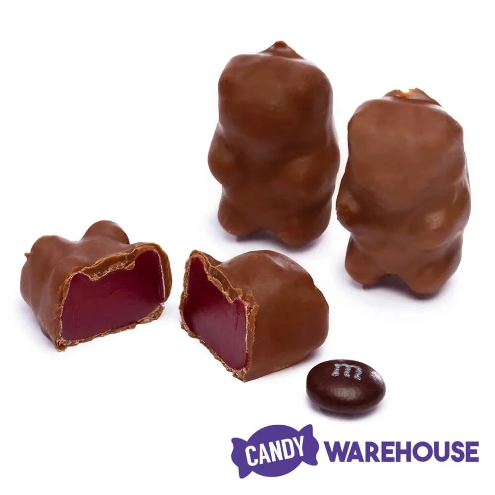 Chocolate Covered Cinnamon Bears: 3LB Bag 4 Chocolate Covered Cinnamon Bears: 3LB Bag - Image 2