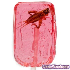 Cricket Lollipops: 36-Piece Box 9 Cricket Lollipops: 36-Piece Box -Candy Store cricket lollipops 36 piece box candy warehouse 4