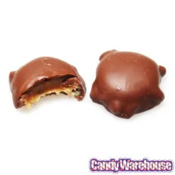 DeMet's Turtles Bite Size Chocolates: 60-Piece Box -Candy Store demet s turtles bite size chocolates 60 piece box candy warehouse 4