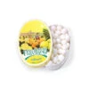 Flavigny Pastilles Candy Tins - Lemon: 8-Piece Box -Candy Store flavigny pastilles candy tins lemon 8 piece box candy warehouse