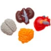 Gummy Internal Organs Candy: 38-Piece Bag -Candy Store gummy internal organs candy 38 piece bag candy warehouse 1
