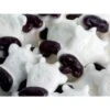 Gustaf's White & Black Gummy Cow Heads: 1KG Bag -Candy Store gustaf s white and black gummy cow heads 1kg bag candy warehouse 1 74f63d65 a925 480c 8b58 33c11e6af305