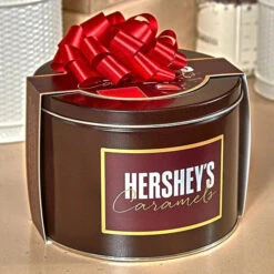 Candy Store -Candy Store hershey s caramels milk and dark chocolate caramel candy 2 5lb gift tin candy warehouse 2