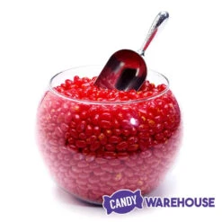 Jelly Belly Sizzling Cinnamon: 2LB Bag -Candy Store jelly belly sizzling cinnamon 2lb bag candy warehouse 4