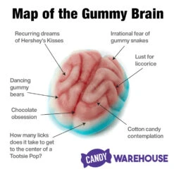 Jelly Filled Gummy Brains: 1KG Bag 9 Jelly Filled Gummy Brains: 1KG Bag -Candy Store jelly filled gummy brains 1kg bag candy warehouse 3