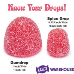 Jumbo Gumdrops Candy: 5LB Bag 9 Jumbo Gumdrops Candy: 5LB Bag -Candy Store jumbo gumdrops candy 5lb bag candy warehouse 4 0840f1f6 a14c 40b8 a375 89b9c6d7583d