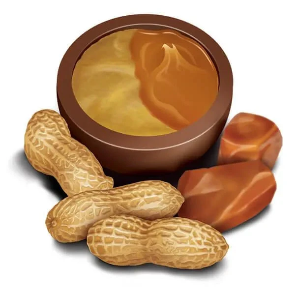 Madelaine Duets Peanut Butter & Caramel Filled Chocolate Truffles: 48-Piece Box 5 Madelaine Duets Peanut Butter & Caramel Filled Chocolate Truffles: 48-Piece Box - Image 3