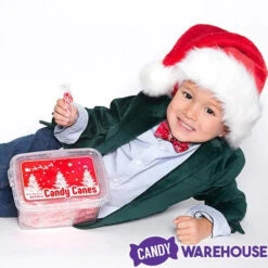 Mini Candy Canes - Red And White: 100-Piece Tub -Candy Store mini candy canes red and white 100 piece tub candy warehouse 3