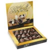 Nautilus Belgian Chocolate Seashells: 18-Piece Box -Candy Store nautilus belgian chocolate seashells 18 piece box candy warehouse 1