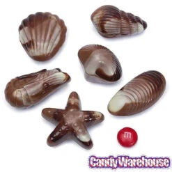 Nautilus Belgian Chocolate Seashells: 18-Piece Box -Candy Store nautilus belgian chocolate seashells 18 piece box candy warehouse 4