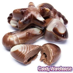 Nautilus Belgian Chocolate Seashells: 18-Piece Box -Candy Store nautilus belgian chocolate seashells 18 piece box candy warehouse 5
