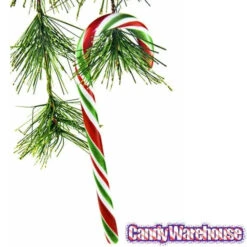 Red - White - Green Peppermint Candy Canes: 18-Piece Box -Candy Store red white green peppermint candy canes 18 piece box candy warehouse 3