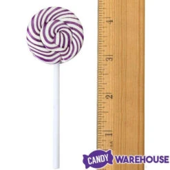 Squiggly Pops Petite Swirl Lollipops - Grape: 24-Piece Jar -Candy Store squiggly pops petite swirl lollipops grape 24 piece jar candy warehouse 6 ac3a993e 5d74 498d b710 408838918b01