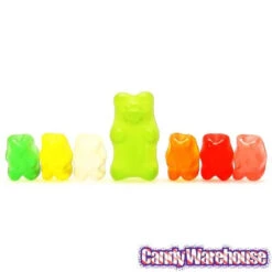 Tiny Gummy Bears Candy: 5LB Bag -Candy Store tiny gummy bears candy 5lb bag candy warehouse 3