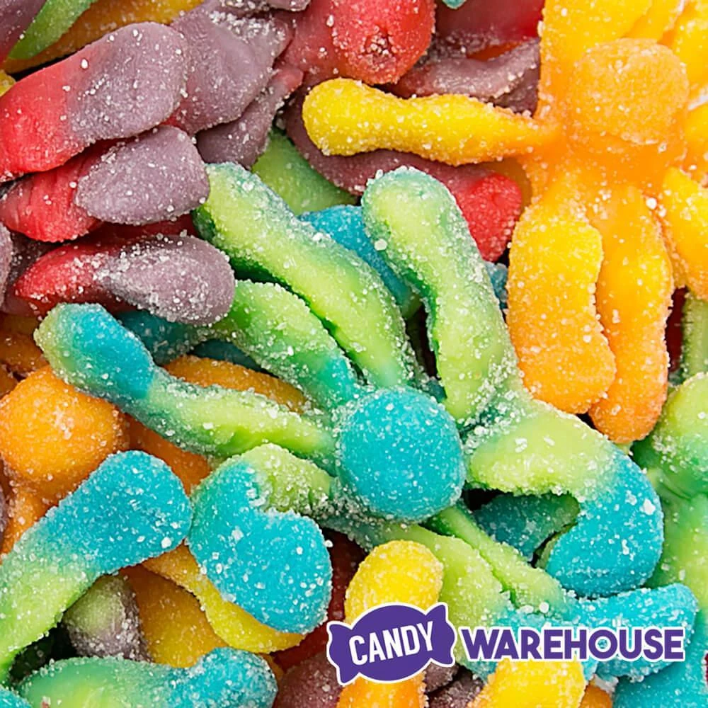Trolli Sour Brite Gummy Octopus Candy: 35-Piece Jar 5 Trolli Sour Brite Gummy Octopus Candy: 35-Piece Jar - Image 3